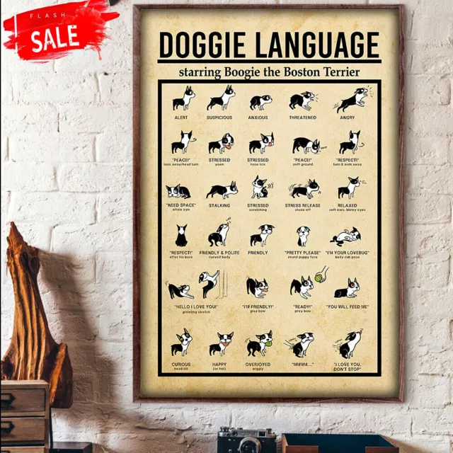 Doggie Language Starring Boogie The Boston Terrier Knowledge Poster Doggie Language Starring Boogie The Boston Terrier Knowledge Poster