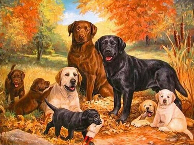 5D DIY Full Round Drill Diamond Painting Labradors Cross Stitch Kits Wall Decor