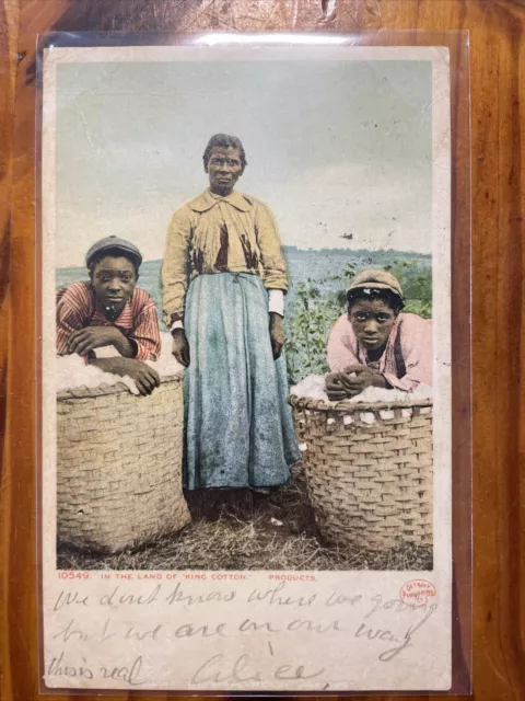 Black Americana Postcard Great Migration Message Cotton