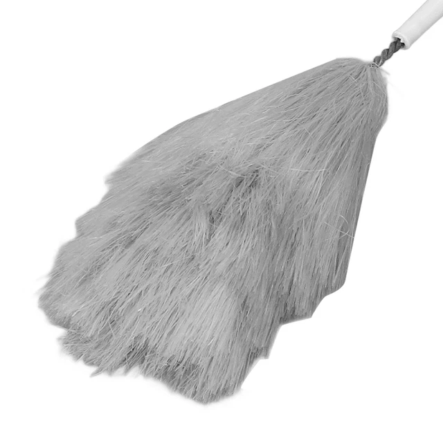 Brosse De Décapant De Bouteille Puissance De Nettoyage Forte De Brosse Du