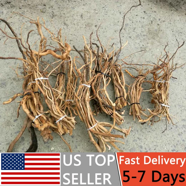 Natural Driftwood Aquarium Root Trunk Tree Fish Tank Landscape Plants Wood Decor