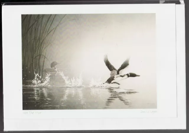 INTO THE MIST - West Coast Loons by Don Li-Leger - New 6" x 9" Art Card