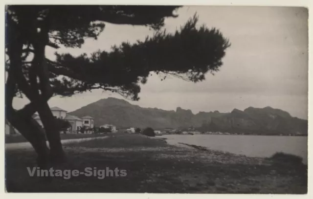 Pollensa - Pollença / Mallorca: The Port (Vintage RPPC ~1940s/1950s)