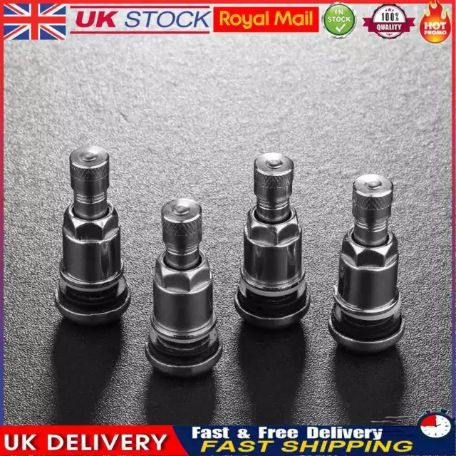 Bolt-in Stainless Steel Car Wheel Tire Valve Stems with Dust Caps (4pcs)