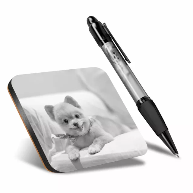 1 x Square Coaster & 1 Pen - BW - Cute Pomeranian Dog Puppy #42764