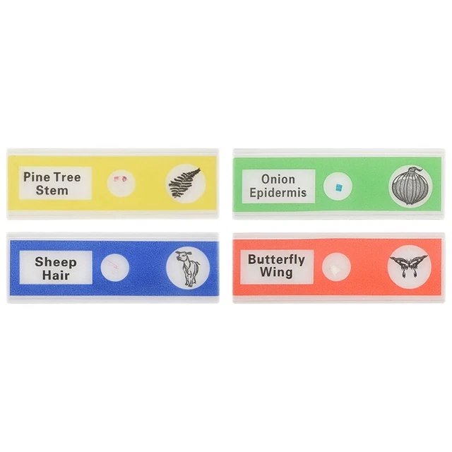 48pcs Kids Plastic Prepared Microscope Slides Of Animals Insects Plants FloX7