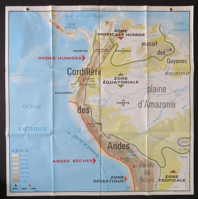Carte de fidélité - Sylvain Rossignol - Livres - du Nord