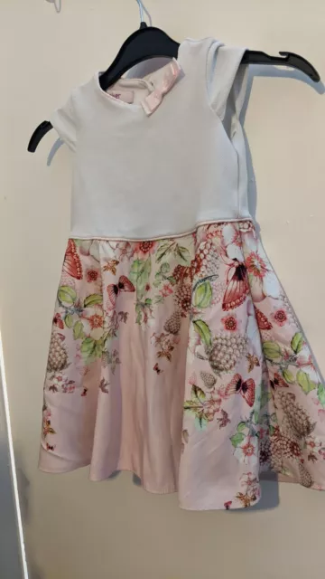 Girls Ted Baker Party Dress 18-24 Months Pink Floral Butterflies