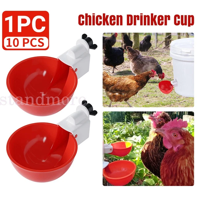 Chicken Water Drinker Bowl/Automatic Poultry Chicken Water Drinker - TikTok Shop Philippines - View #12