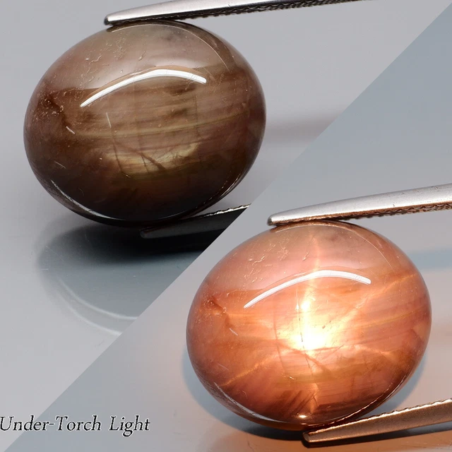 28.76Ct.Perfect Sharp 6 Rays Natural HUGE Champange Star Sapphire Thailand!