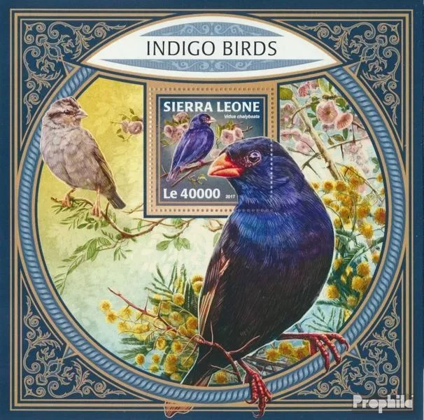 sierra leone sierra-léonais bloc-feuillet 1360 neuf 2017 Indigo-Oiseaux