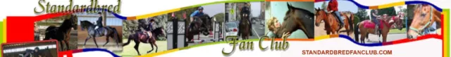 Standardbred Horse Training - Retraining The Pacer video