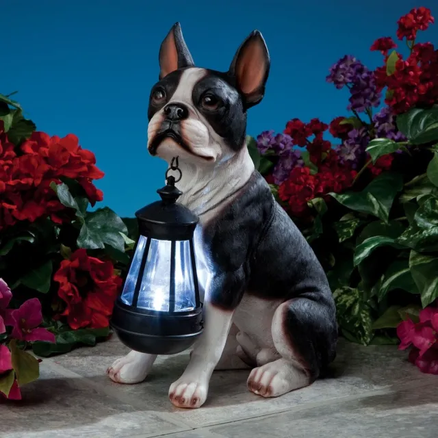 Realistic Boston Terrier Dog Garden Sculpture Holding Solar LED Lighted Lantern