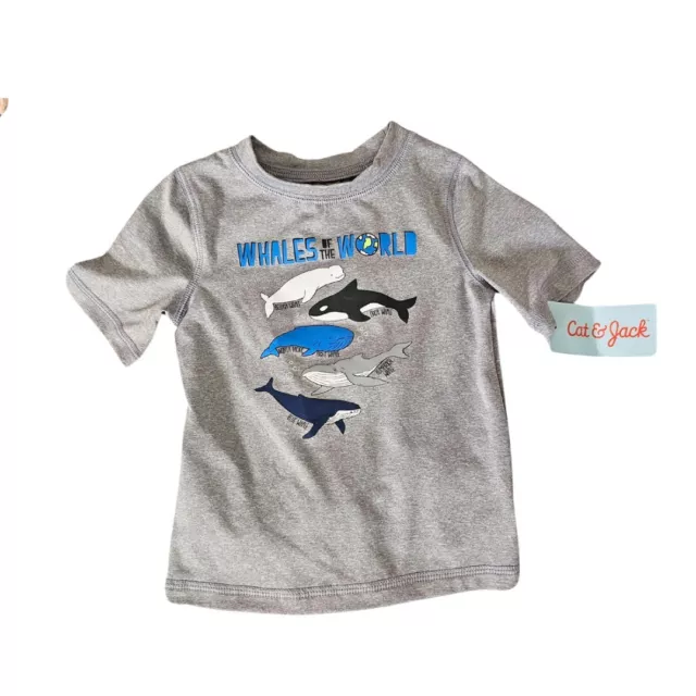 Whale Rash Shirt Size 18 months