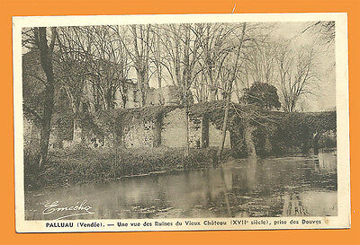 CPA-85- Palluau - A View Of Ruins of / The Old Castle, Taken Of Moat