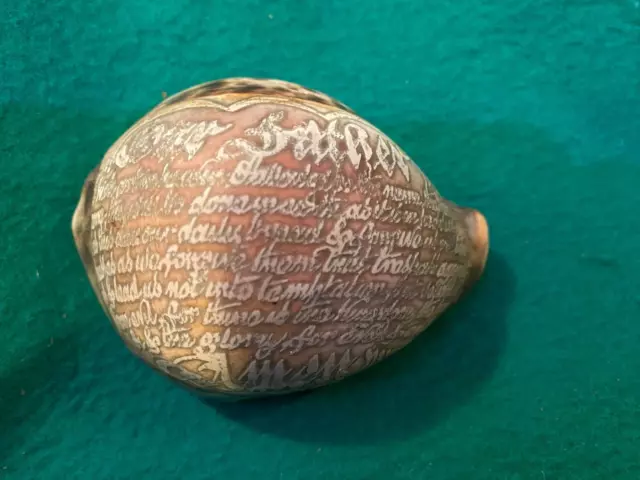 Antique Cowrie Shell Carved With The Lords Prayer