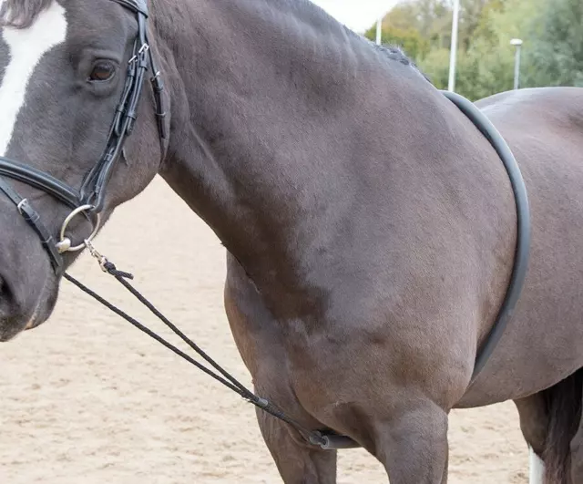 Shires Soft Horse Lunging Aid | Black | One Size / Schooling / Lunging Aid