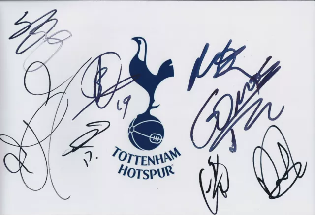Tottenham Hotspurs Squad SIGNED Autograph 12x8 COA Photo AFTAL SPURS Genuine