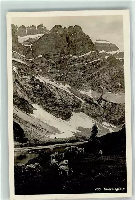 39488071 - Oberblegisee Alp Kuehe Glarus GL