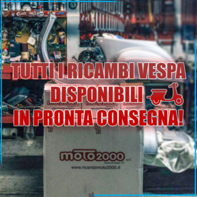 Cif 5118980 VARIATORE COMPLETO MALOSSI RACING MULTIVAR 2000 HONDA SH 350 2021 NF11E 