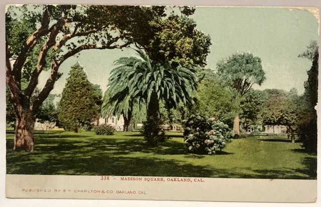 Madison Square, Oakland, California CA Mitchell Vintage Postcard