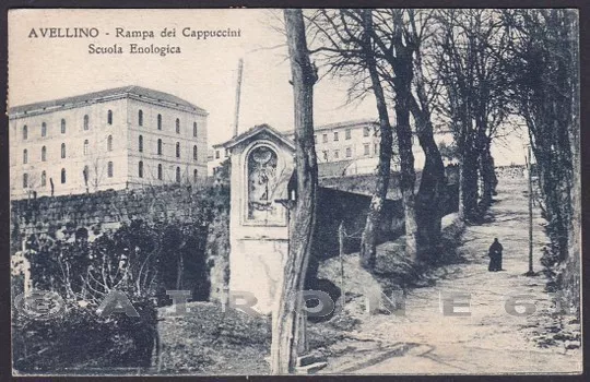 AVELLINO CITTÀ 25 SCUOLA ENOLOGICA VINO UVA Cartolina viaggiata 1928