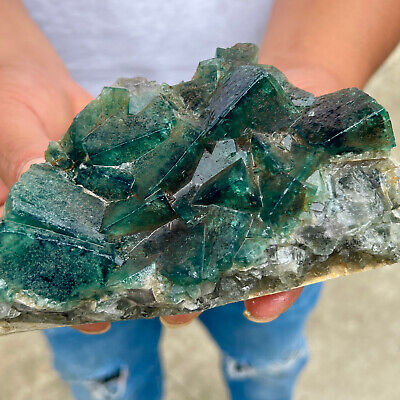 3.02LB Natural super beautiful green fluorite crystal ore standard sampleDS121