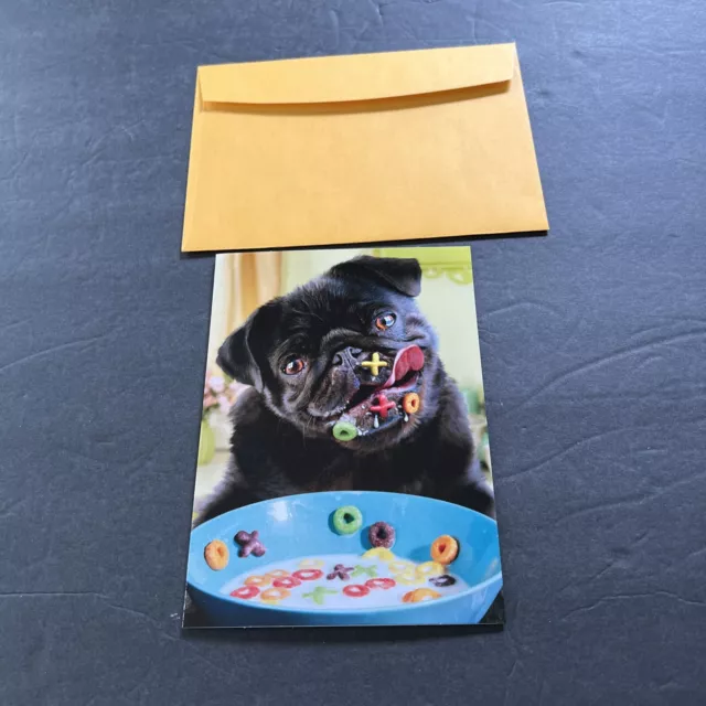 AVANTI Greeting Birthday card Pug-bowl