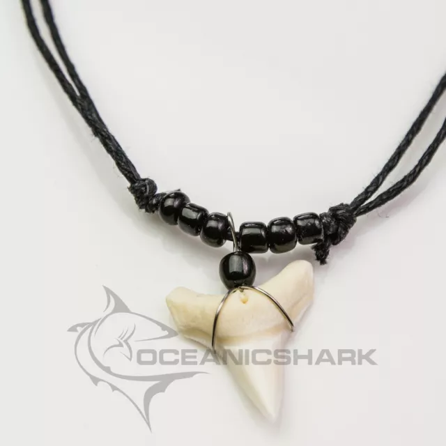 Bull shark tooth necklace large lower teeth black bead c71