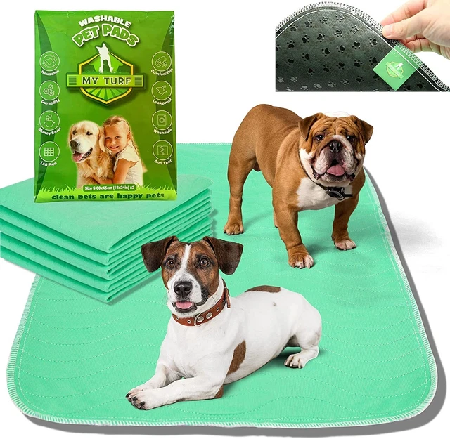 Dog training discount floor mats