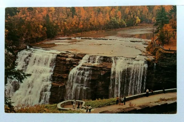 Castille New York NY Letchworth State Park Genesee River Gorge Postcard