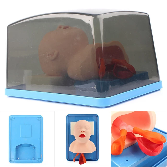 Baby Infant Intubation Manikin Study Teaching Model Airway Management Trainer US