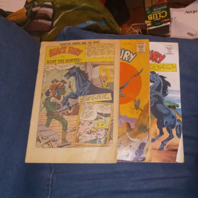 Black Fury 35 43 And 51 Charlton Western Horse Comics Silver Age Lot Run Set...