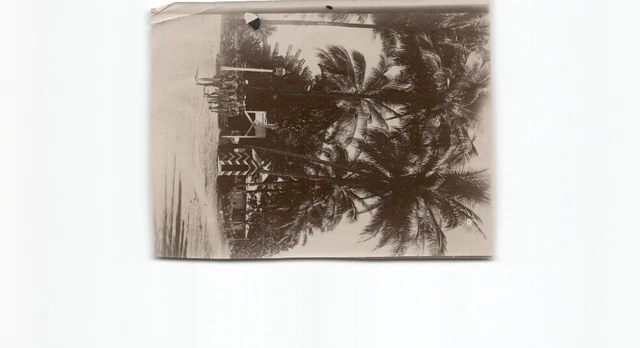 (n14334)   Deutschneuguinea Photo Polizeistation, davor Straßenlaterne und