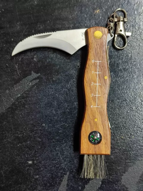 Coltello Cogli funghi Ausonia Manico Legno Lama Inox + Spazzola - Centimetro...