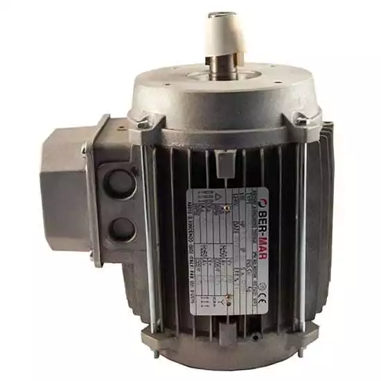 Spin Filter Motor  230V/60Hz  276V/60Hz  3 Ph  1-1/3 HP