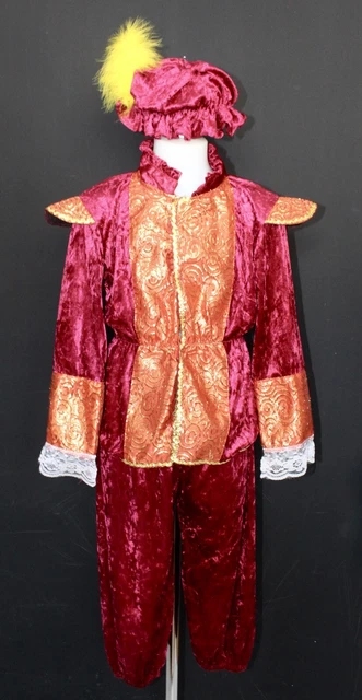 Costume Re Enrico VIII 8 Ricco Tudor Ragazzo Principe Abito Fantastico Età 7 8 9