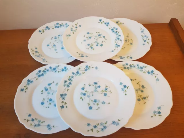 6 Assiettes Dessert Arcopal  Véronica Vintage décor Myosotis