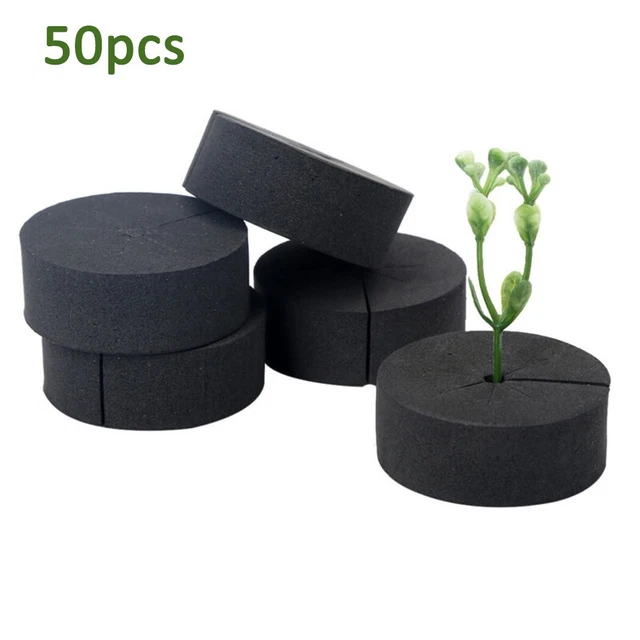 Match parfait pour 2 pots nets 50 pièces colliers clones premium pour clonage d