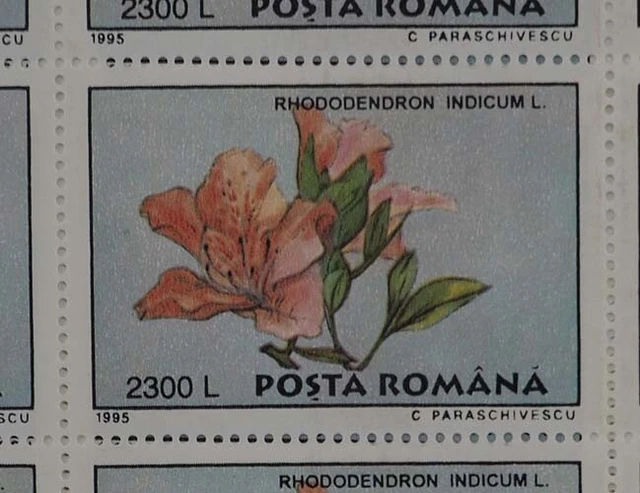 1995 Rumänien; 200 Serien Botanischer Garten, **/MNH, MiNr. 5129/34, ME 900,- 2
