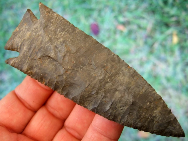 Super Fine Museum Grade 10+ Tennessee Cypress Creek Pine Tree COA Arrowheads