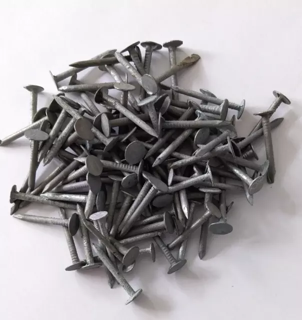 Dachpappnägel Dachpappstifte Schiefernägel verzinkt  3,0 x 30 mm 100 Stück