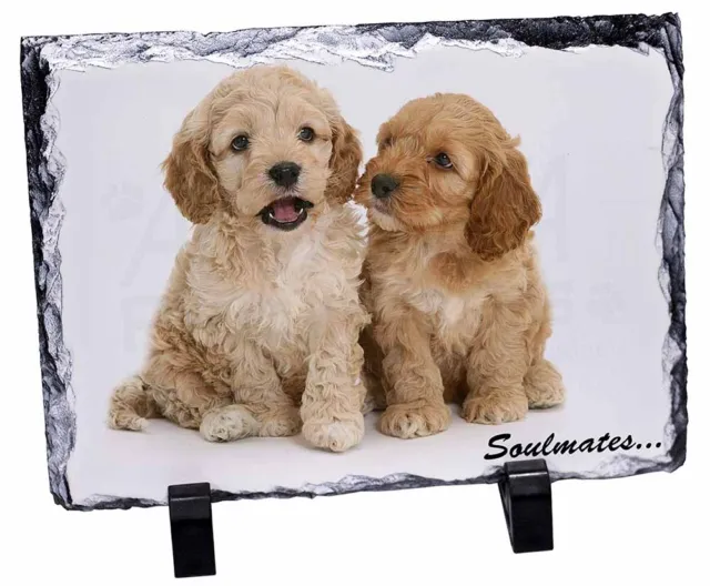 Cockerpoodle Puppy Dogs 'Soulmates', Stunning Animal Photo Slate, SOUL-27SL
