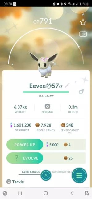 Pokemon Shiny Eevee Cherry Blossom Registered Trade - Any evolution