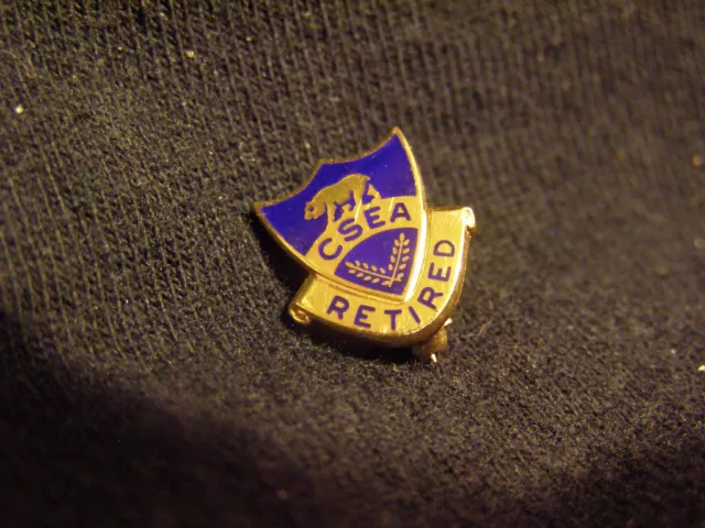 GOLD PIN CSEA-Retired CALIFORNIA SCHOOL EMPLOYEES ASSOC 1/10 10K Gold