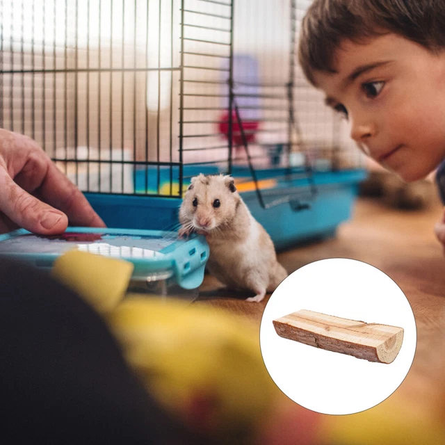Hamster-Spielzeug Hamster-Sprungbrett Spielzeug Kauen Papagei