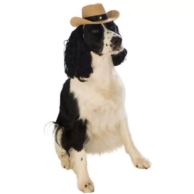 Perro Vaquero Marrón Lejano Oeste Sheriff Disfraz Divertido Mascota Sombrero