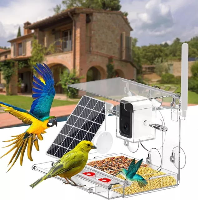 Bird Feeder with Camera Solar Powered Wireless Camera