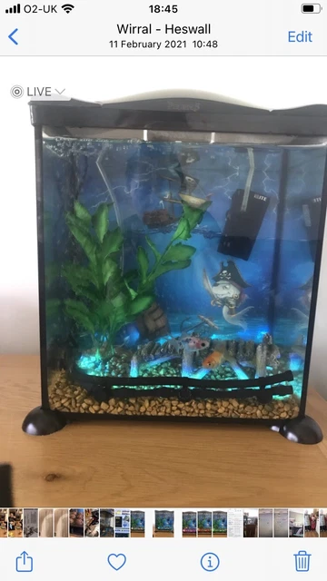 kids fish tank