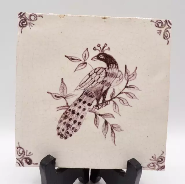 C18th Hand Painted Puce Dutch Delft Tile Peacock Exotic Bird C1750 5" Square